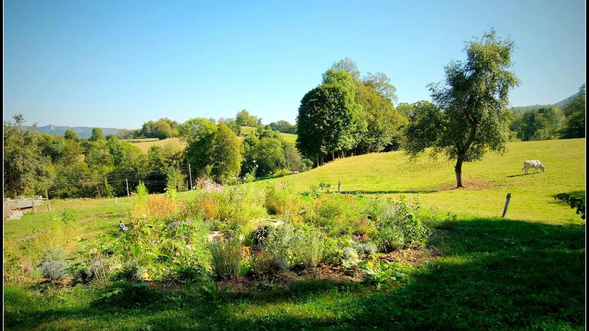 Holiday home La Maison Du Hetre Brassac
